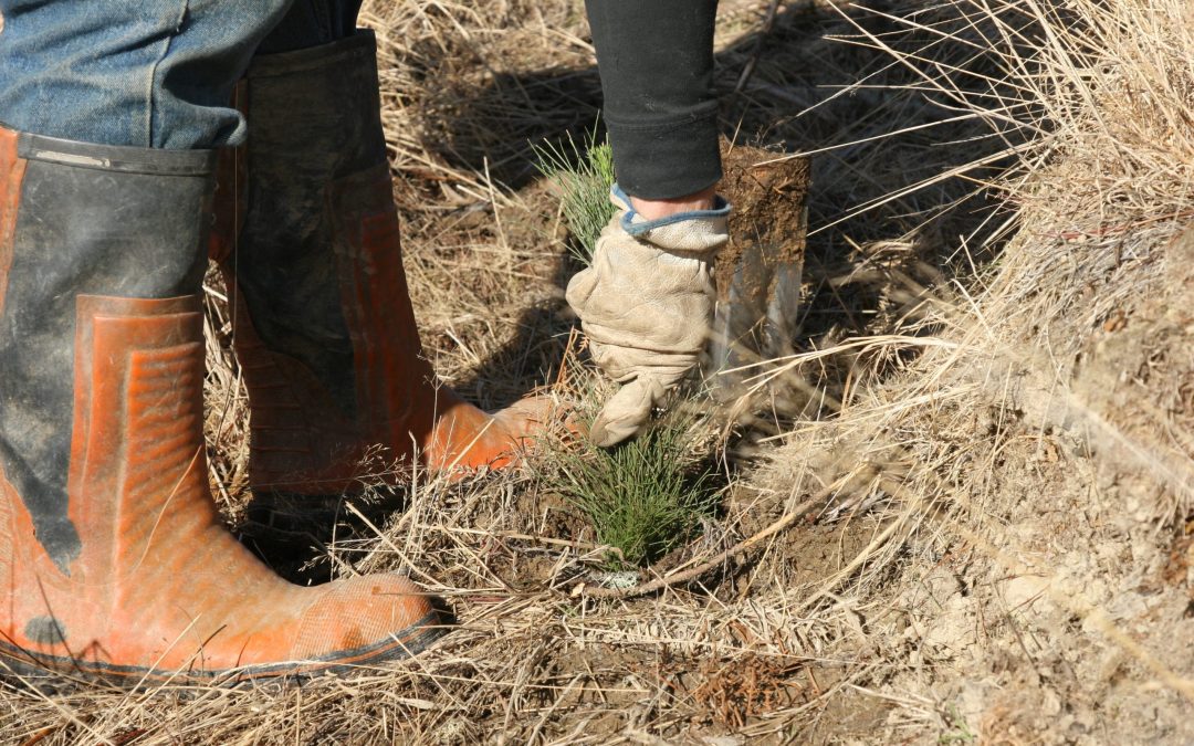 Planting season about to begin