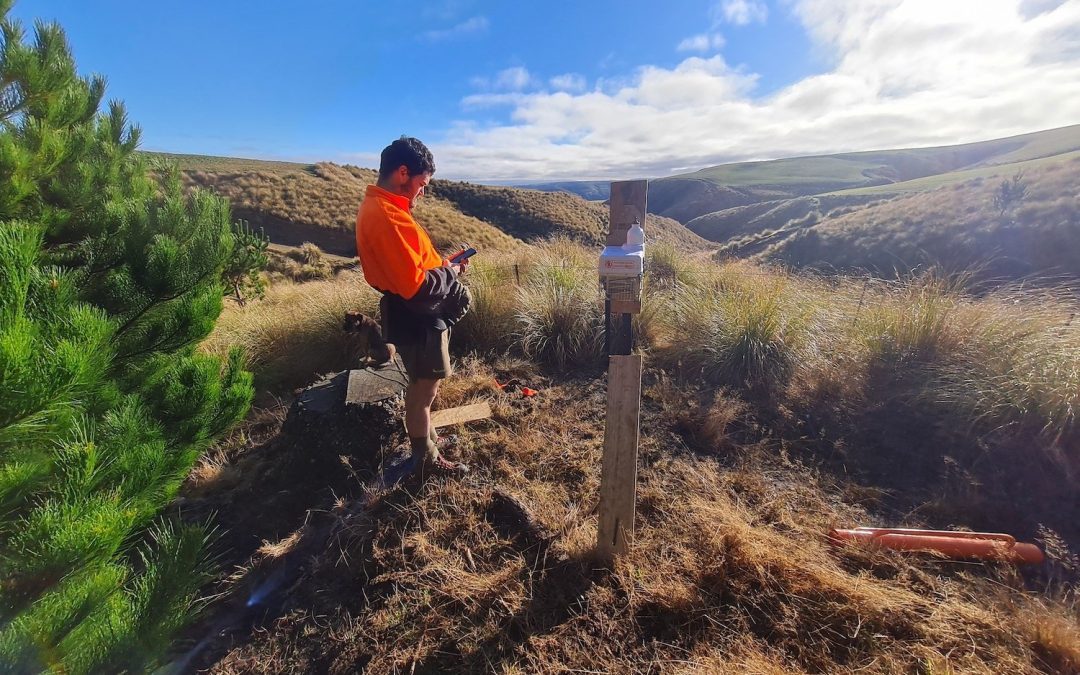 Predator Free Dunedin