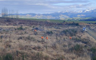 Reviving wetlands