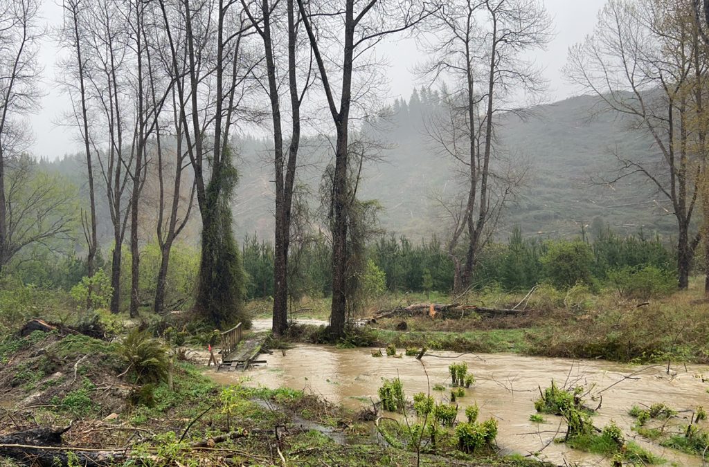 Heavy rains hit Otago, Southland