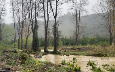 Heavy rains hit Otago, Southland