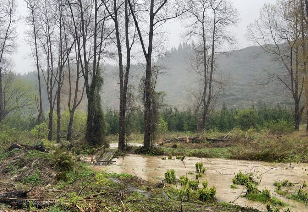 Heavy rains hit Otago, Southland